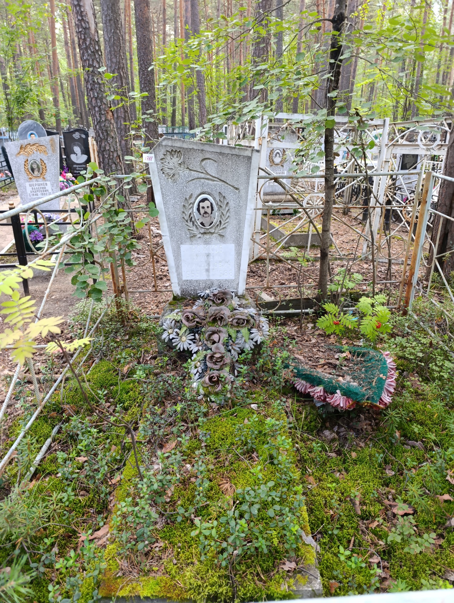 Рожков Михаил Михайлович