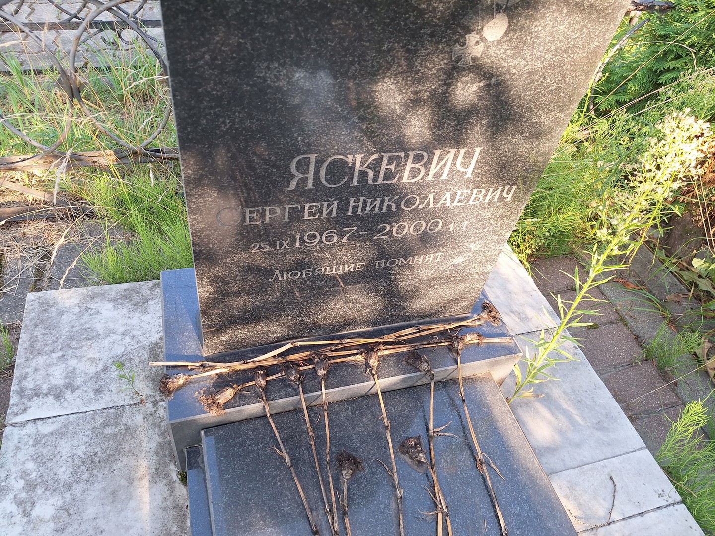 Яскевич