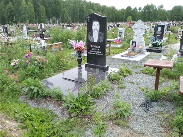 Швецов Андрей Георгиевич