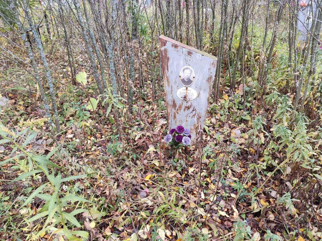 Малышев Виктор Николаевич