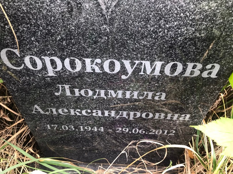 Сорокоума