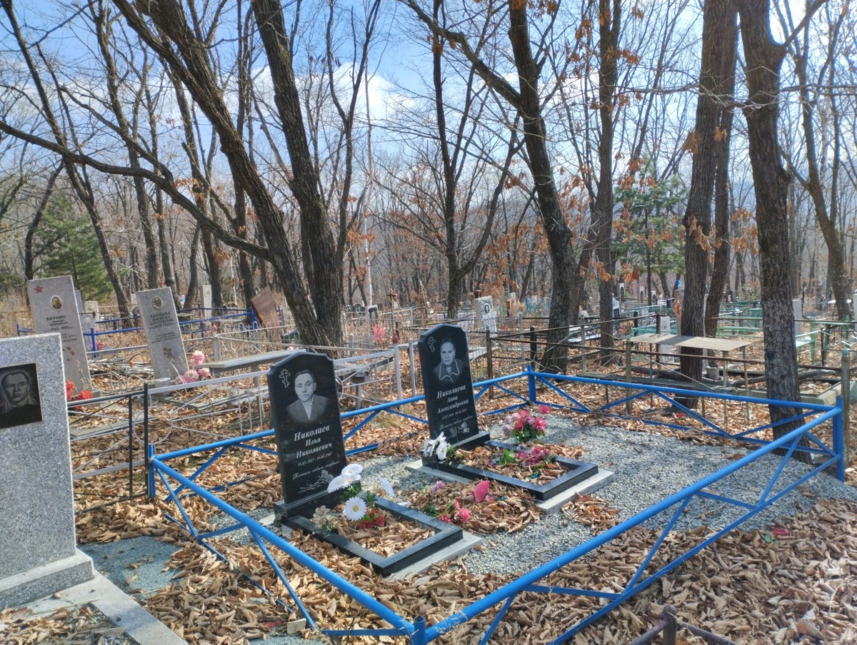 Николаева Анна Александровна