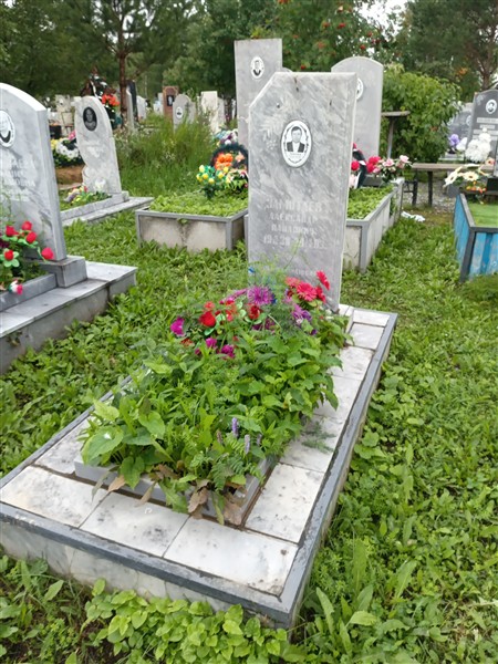 Замотаев Александр Павлович