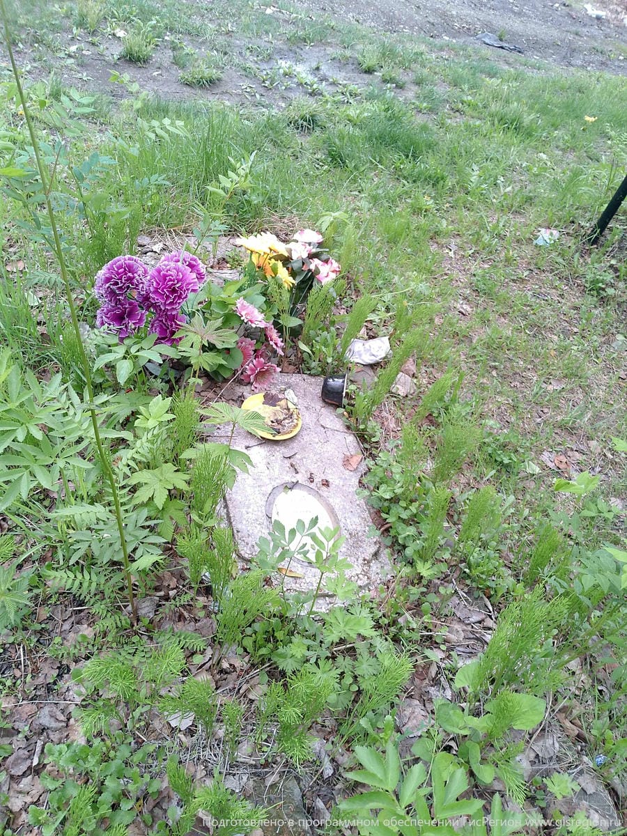 Михалев Нестор Павлович