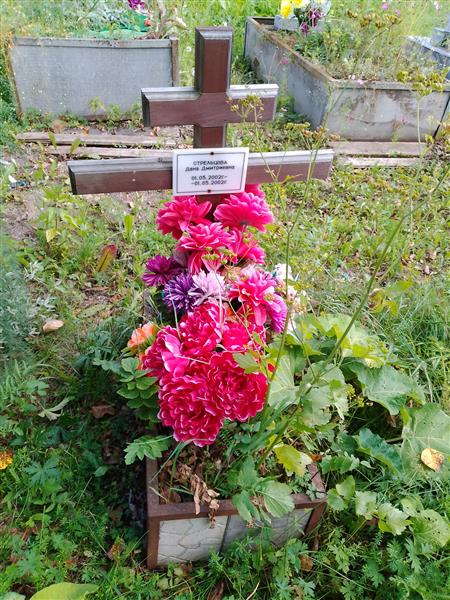 Стрельцова Дана Дмитриевна
