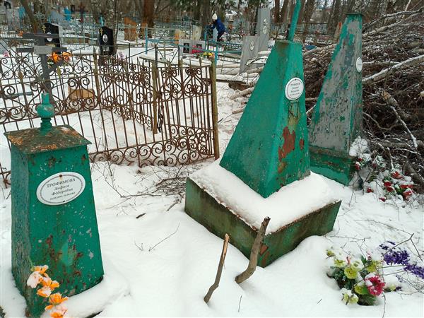 Трофимова Анфиса Фёдоровна