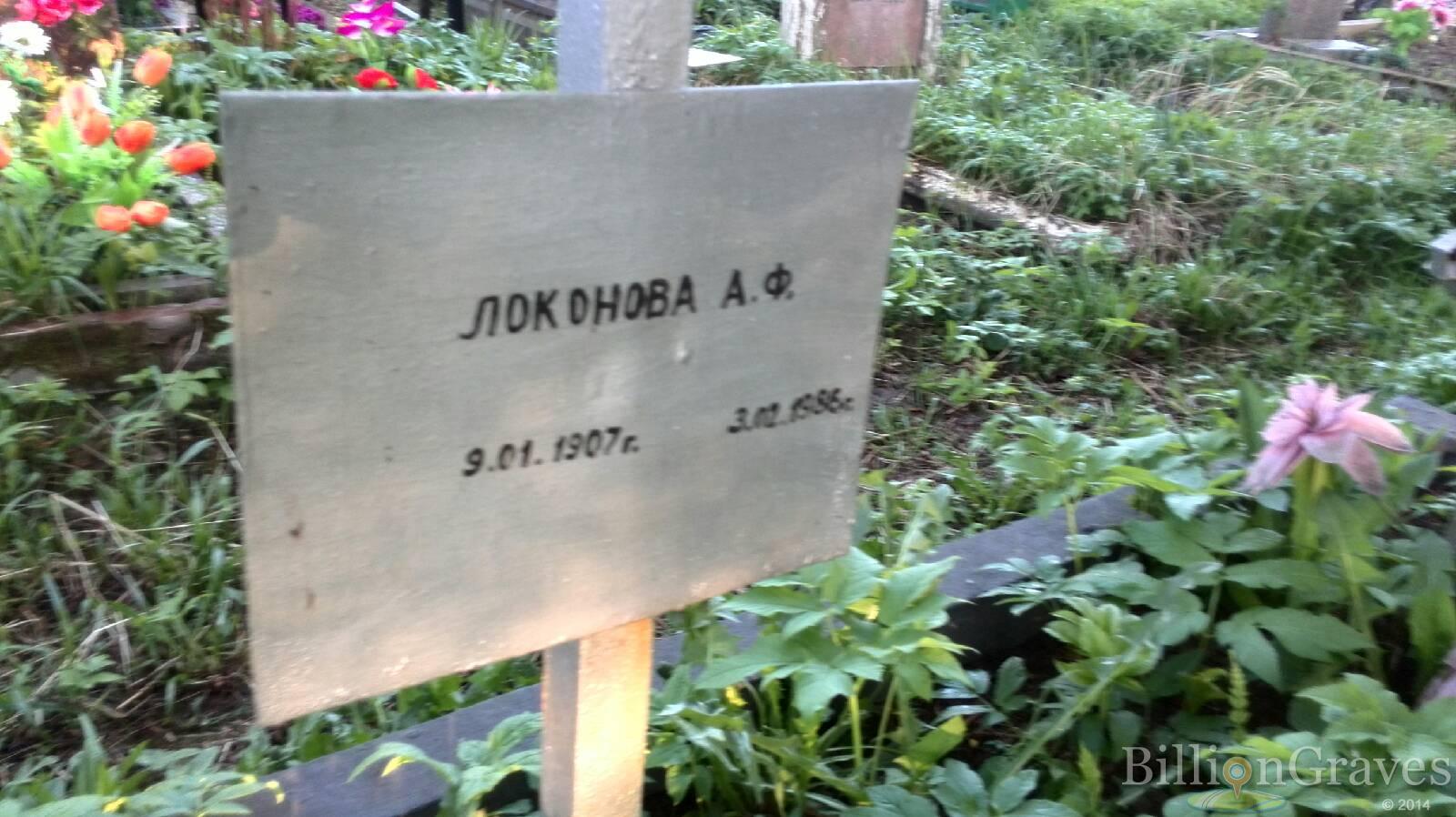 Локонова А.Ф.