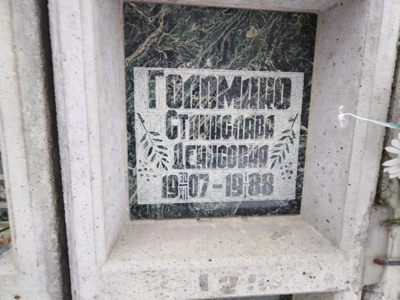 Голомако Станислава Денисовна