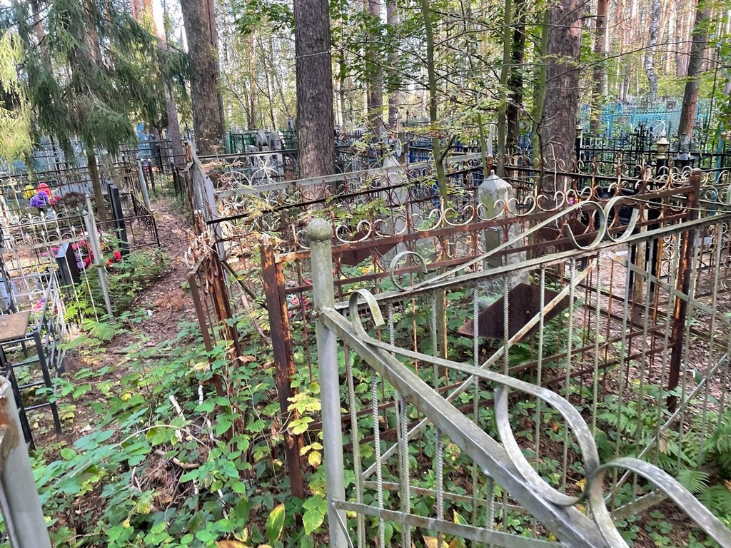 Младенцев Александр Иванович