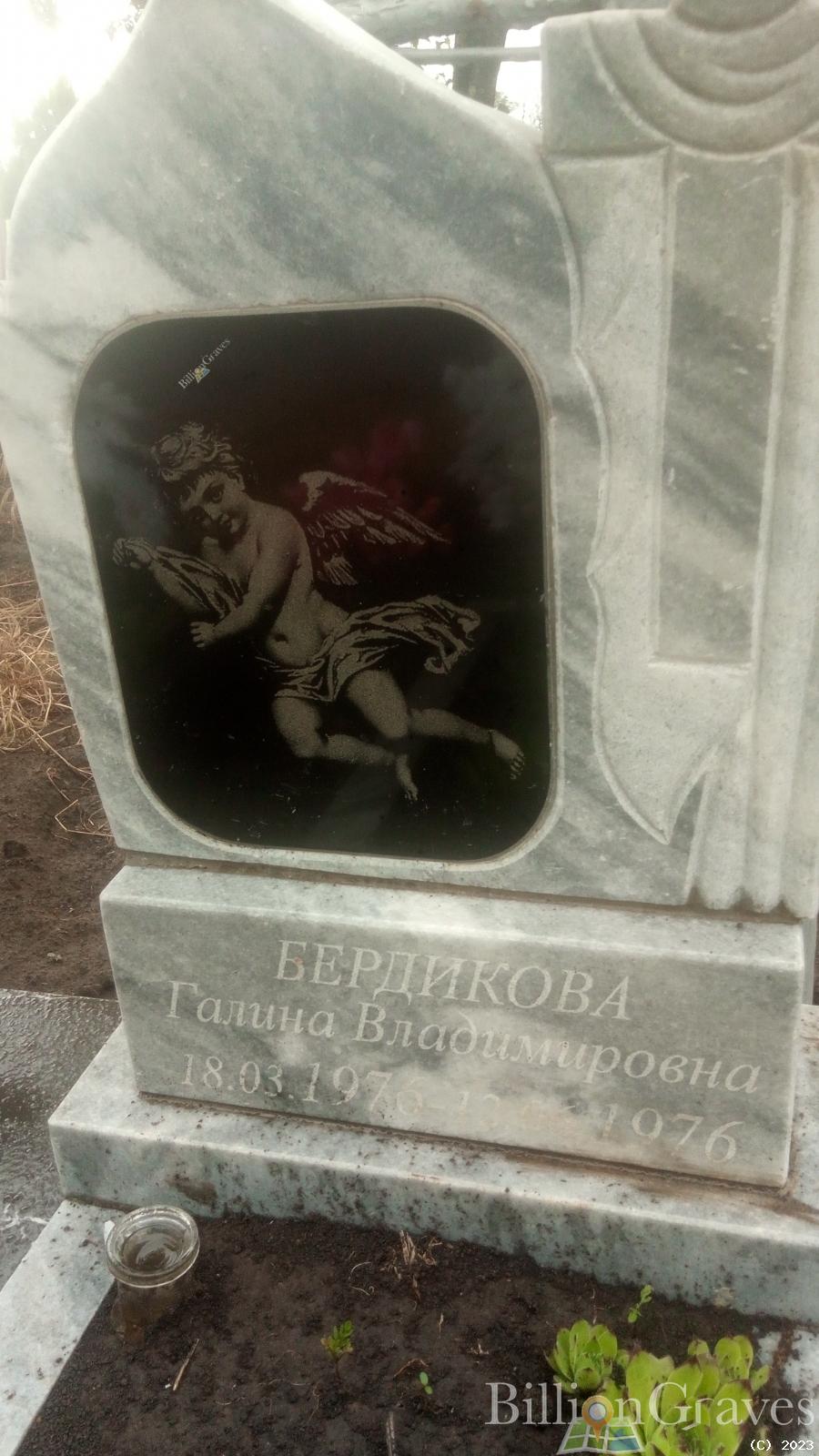 Бердикова Галина Владимировна