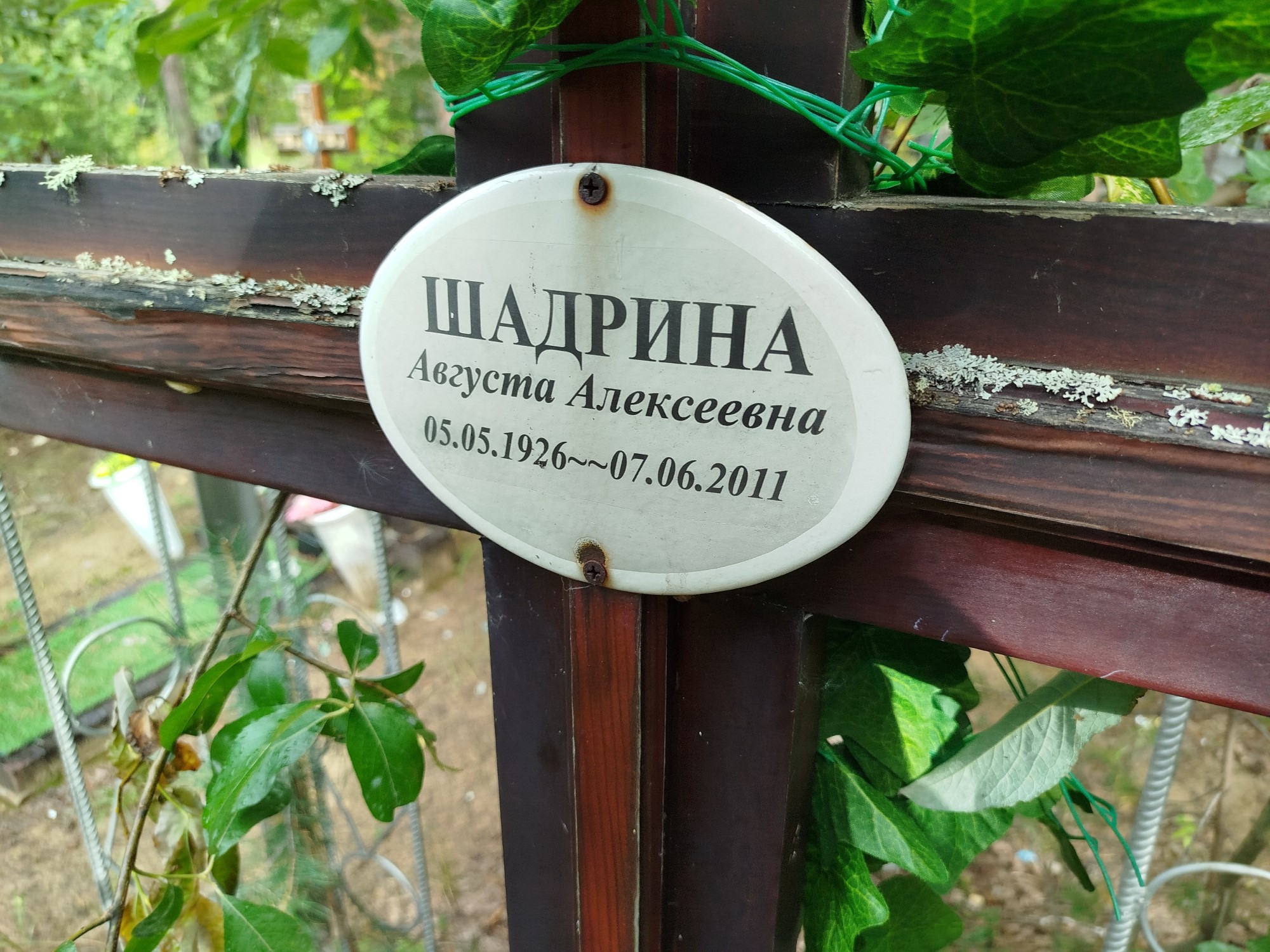 Шадрина Августа Алексеевна