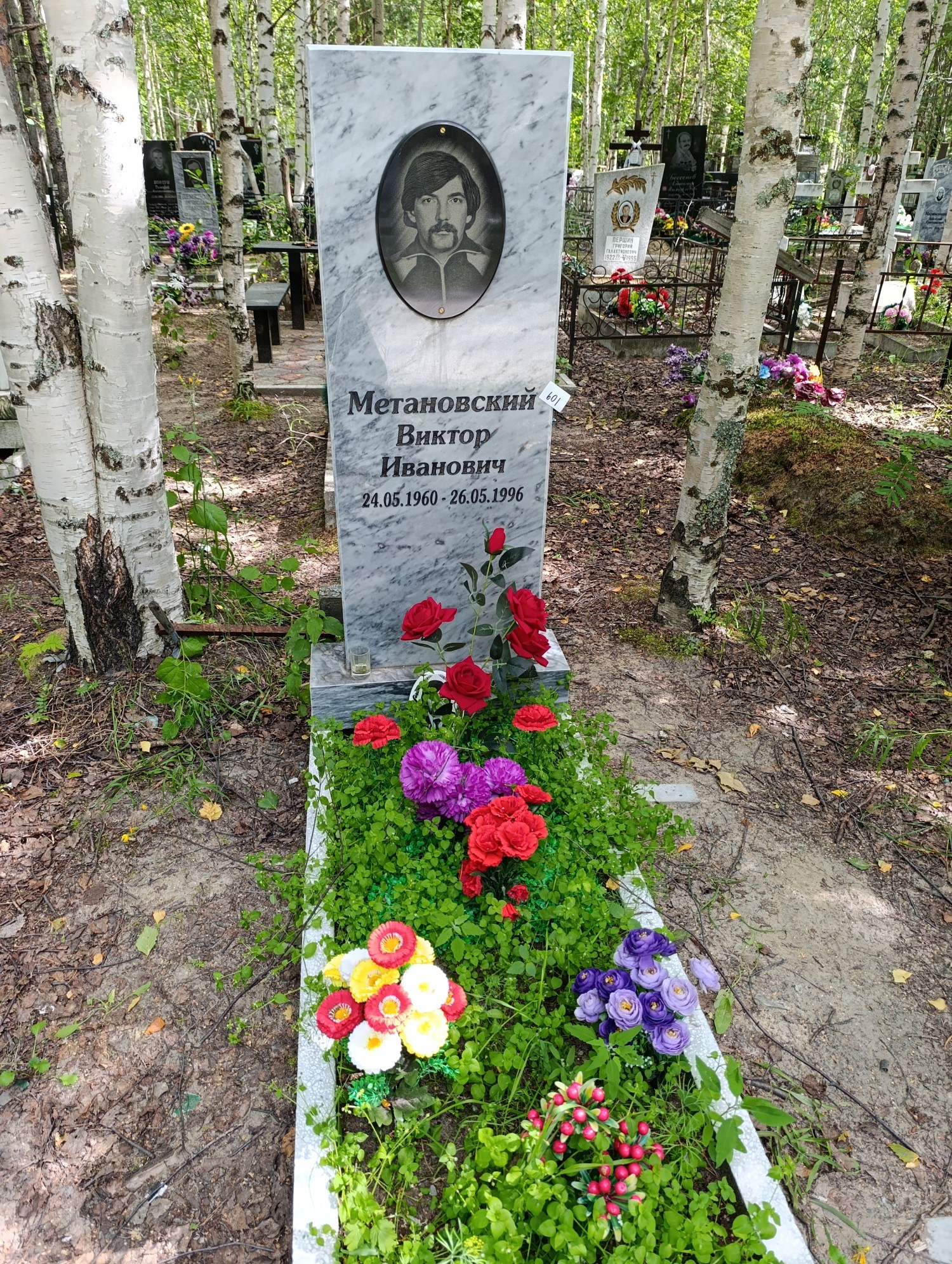 Метановский Виктор Иванович
