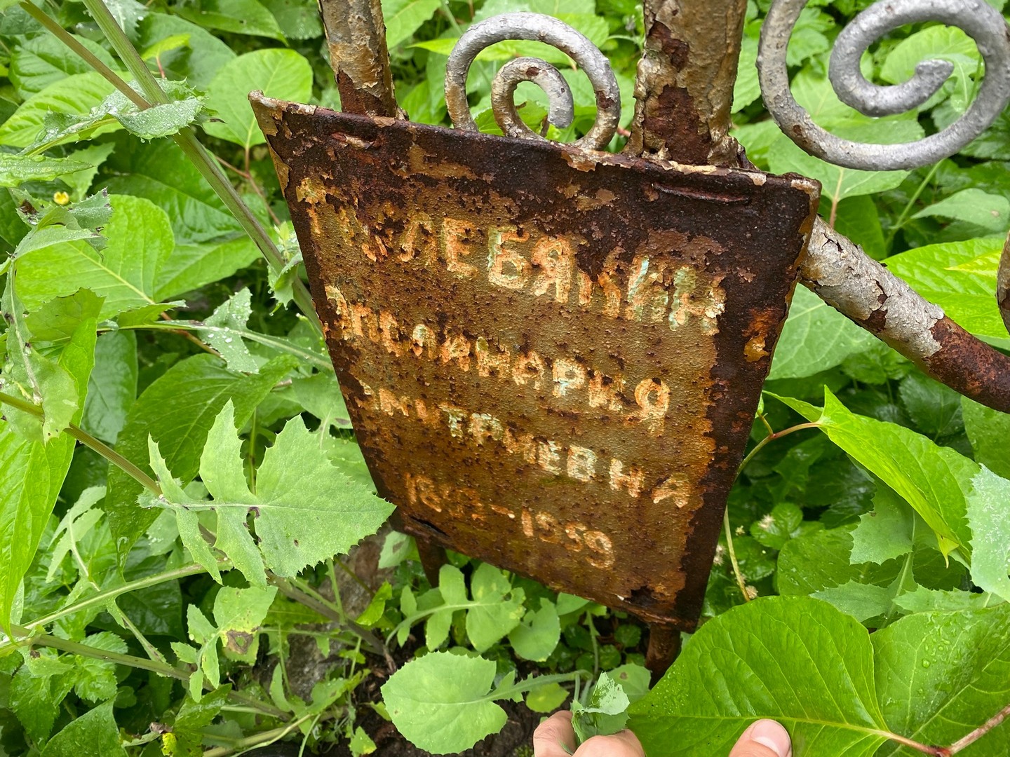 Апполинария Кулебякина Дмитриевна