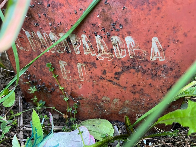 Е. Виноградова П.