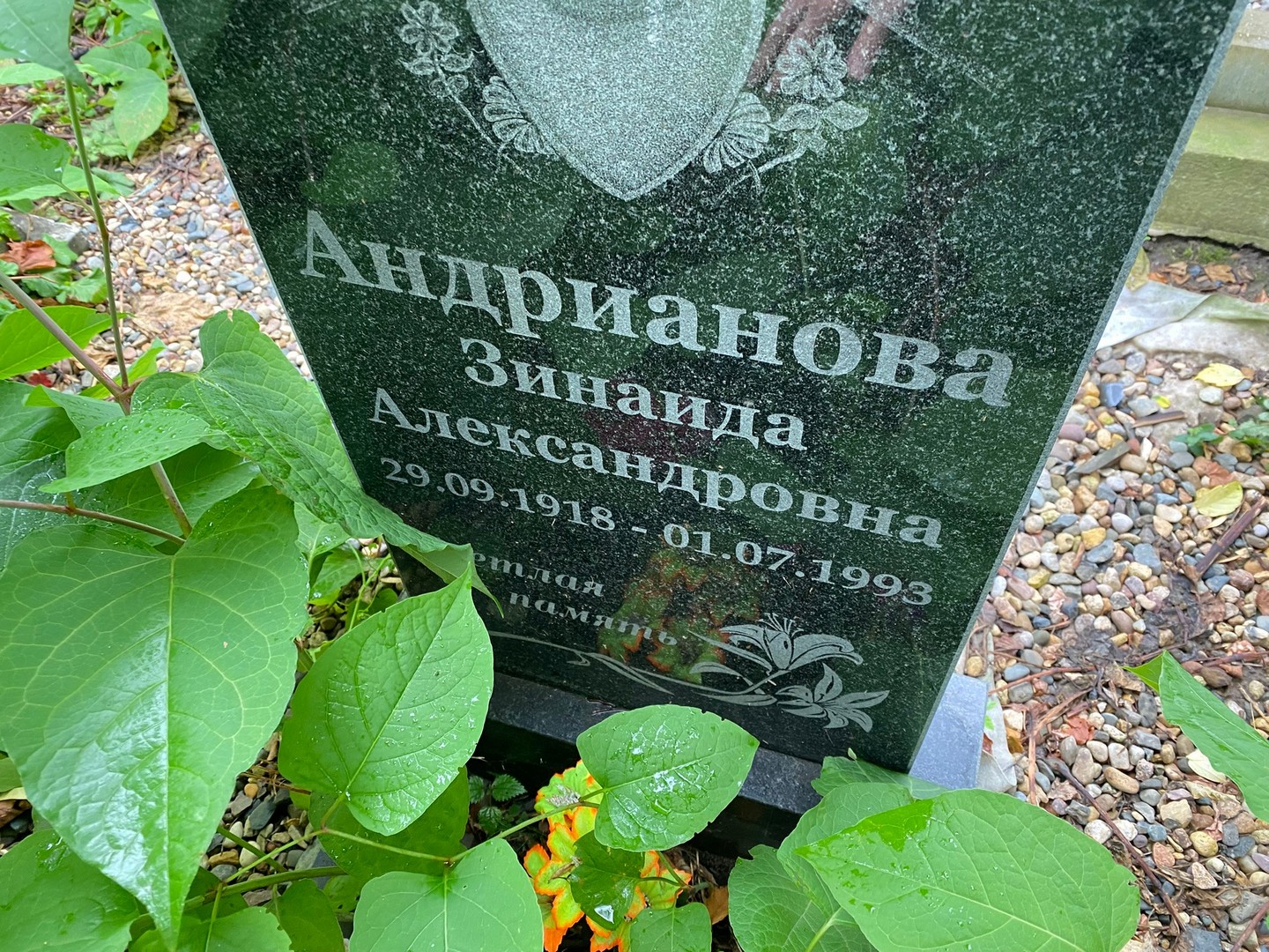 Андрианова