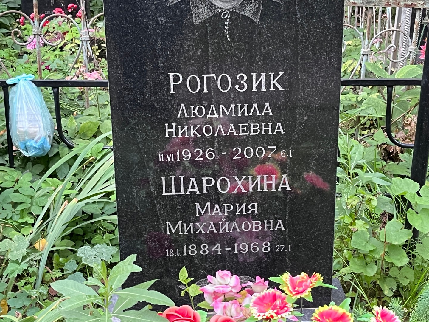 Рогозик