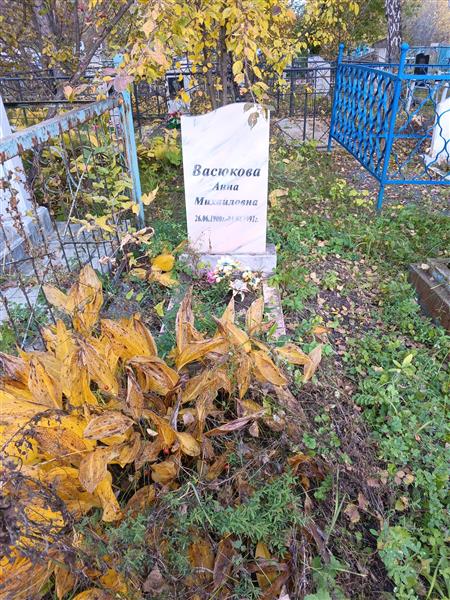 Васюкова Анна Михайловна