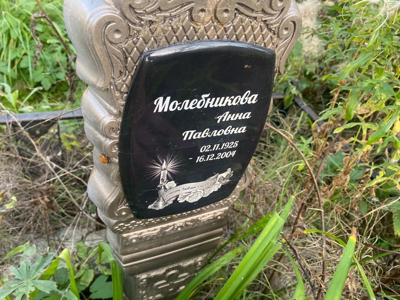 Молебникова