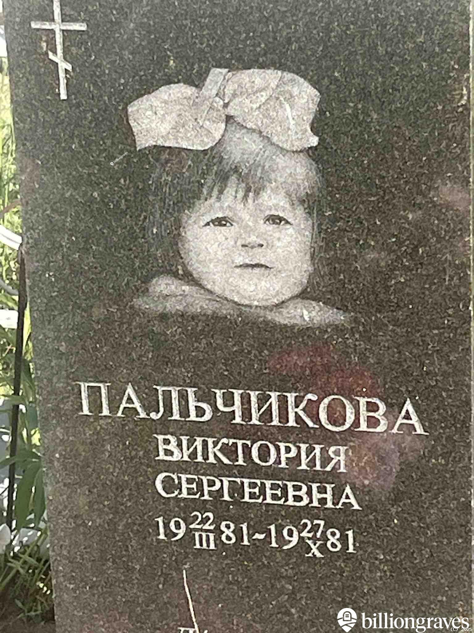 Пальчикова Виктория Сергеевна