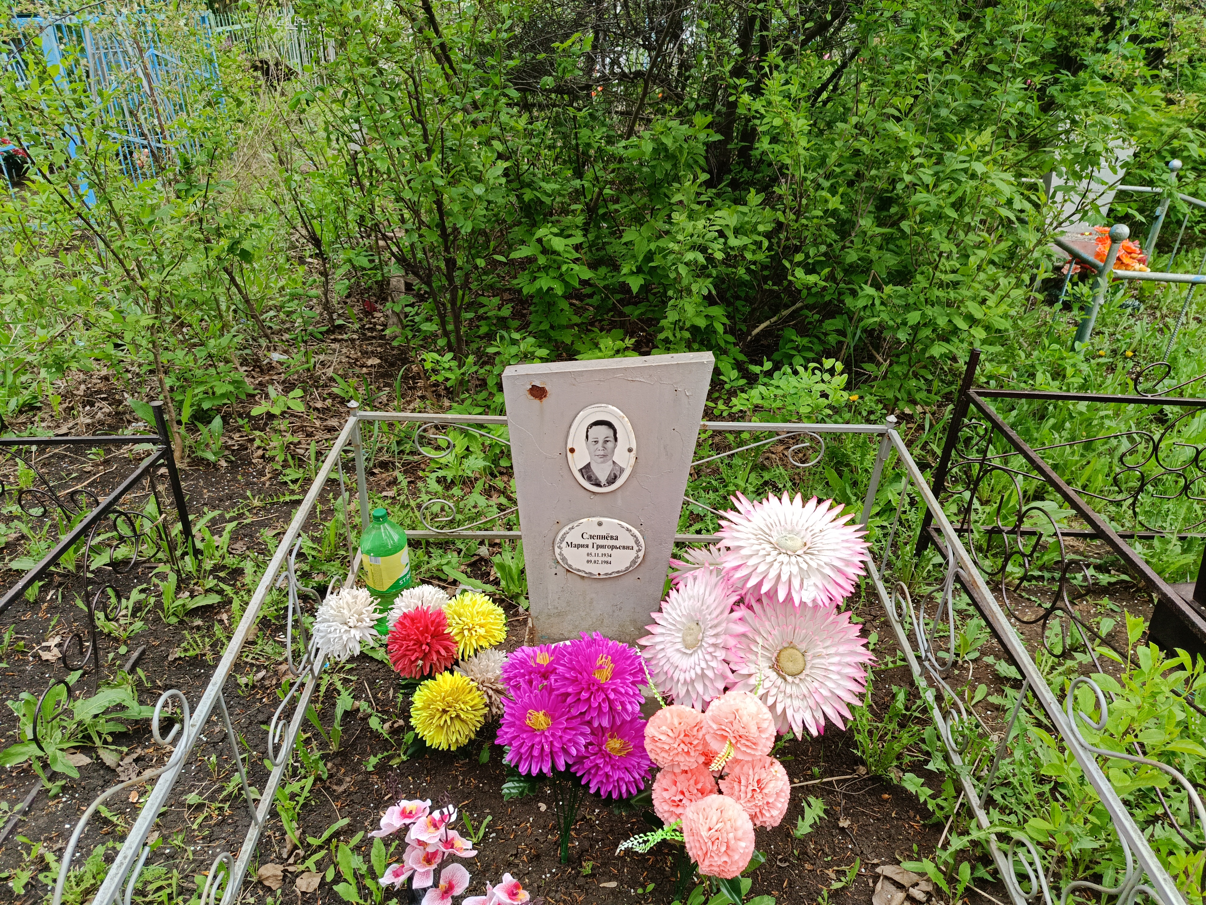 Слепнёва Мария Григорьевна