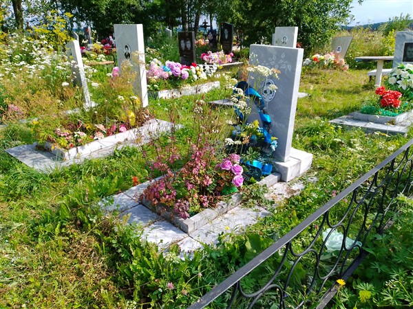 Панищев Дмитрий Александрович