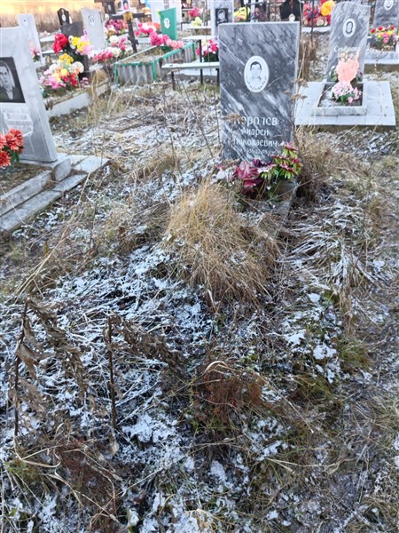 Королев Андрей Николаевич