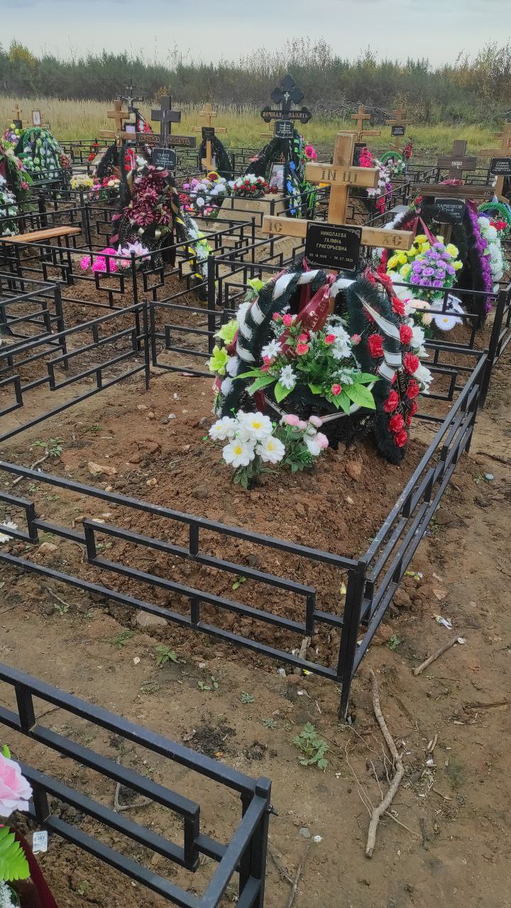 Николаева