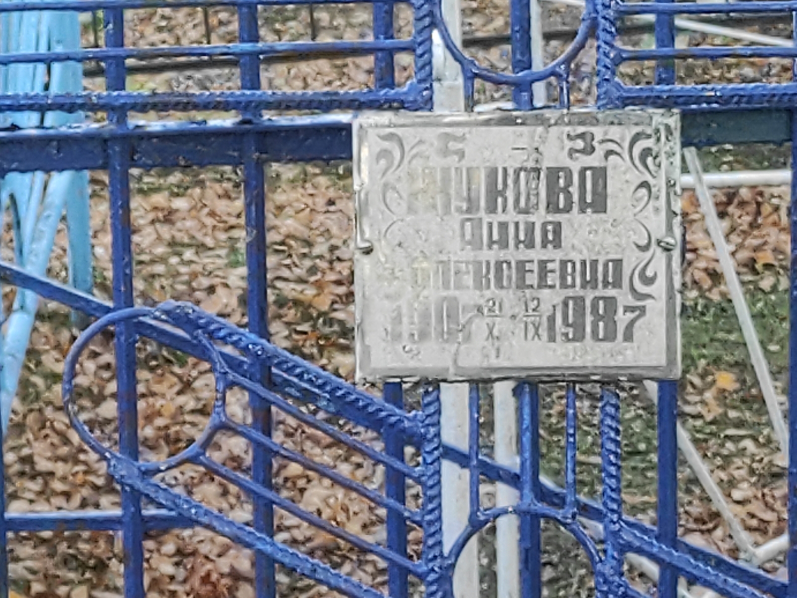 Жукова Анна Алексеевна