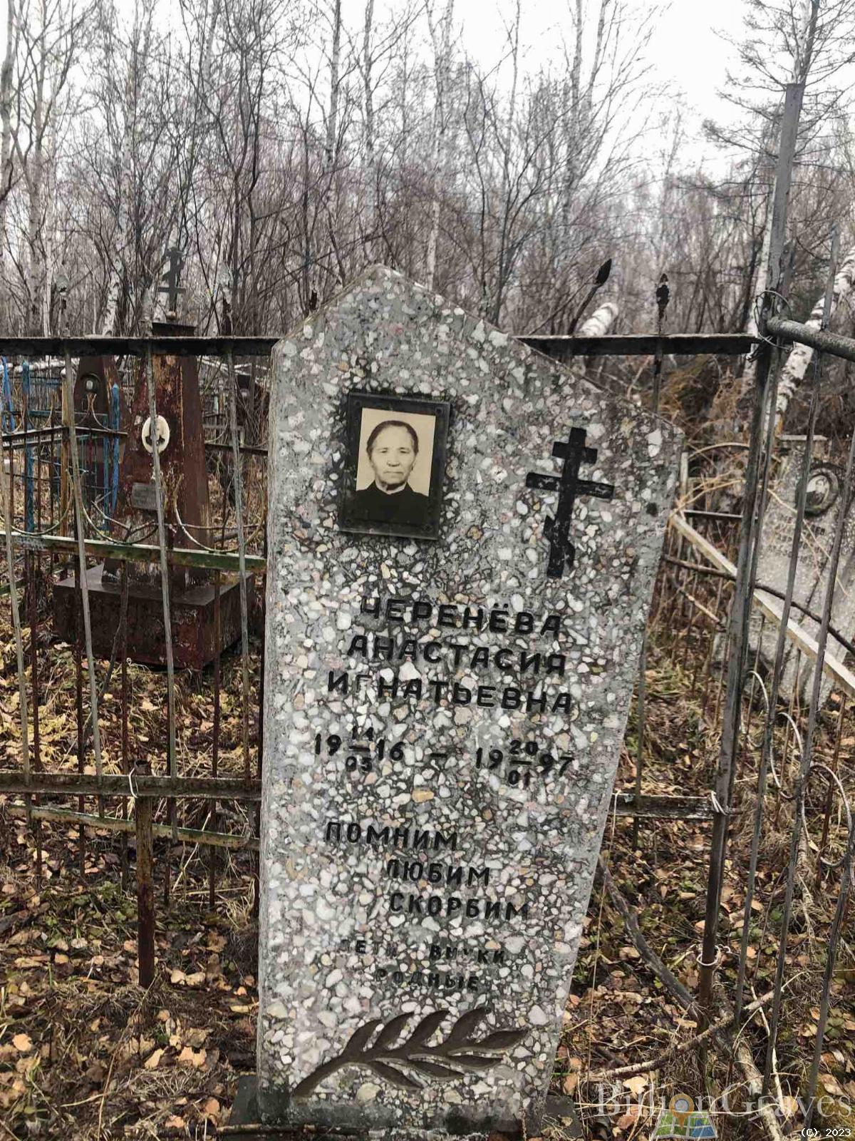 Черенёва Анастасия Игнатьевна