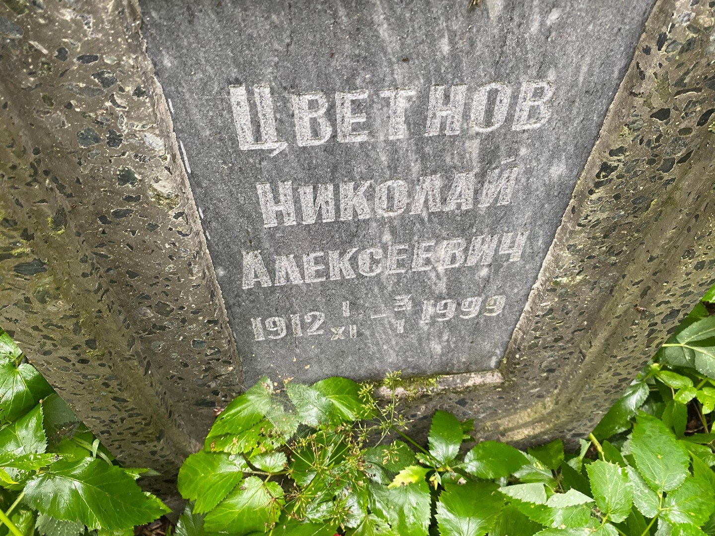 Цветнов