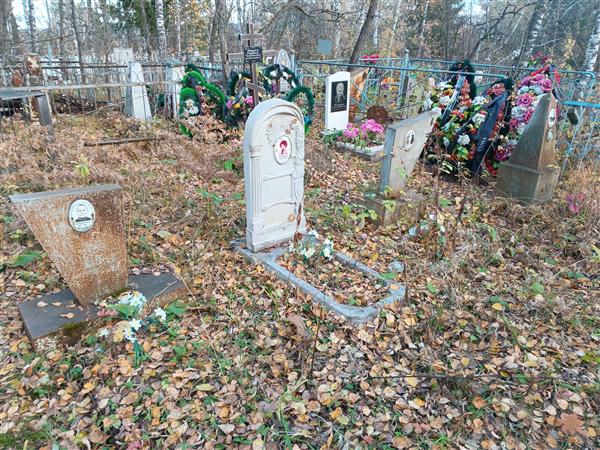 Полецкая Елена Борисовна