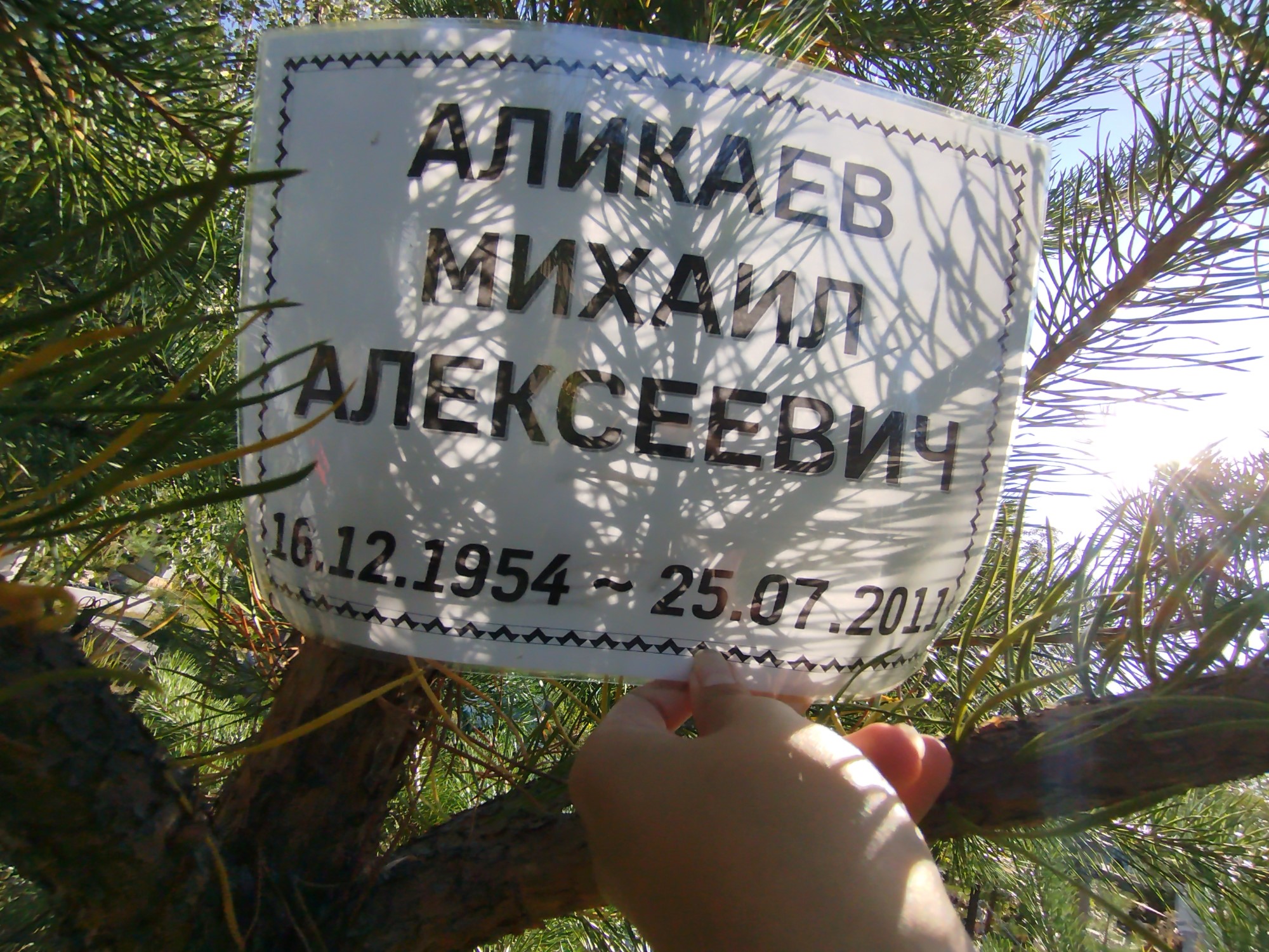 Аликаев Михаил Алексеевич
