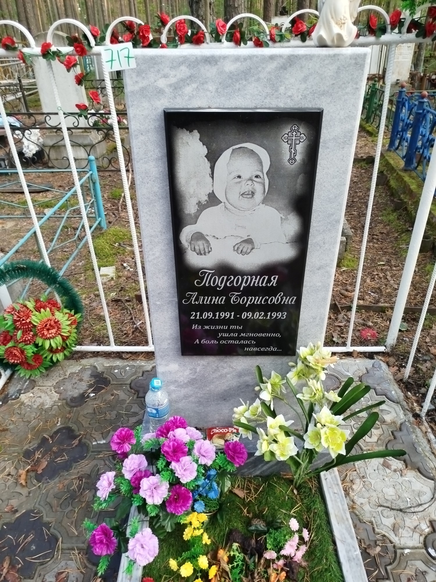 Подгорная Алина Борисовна