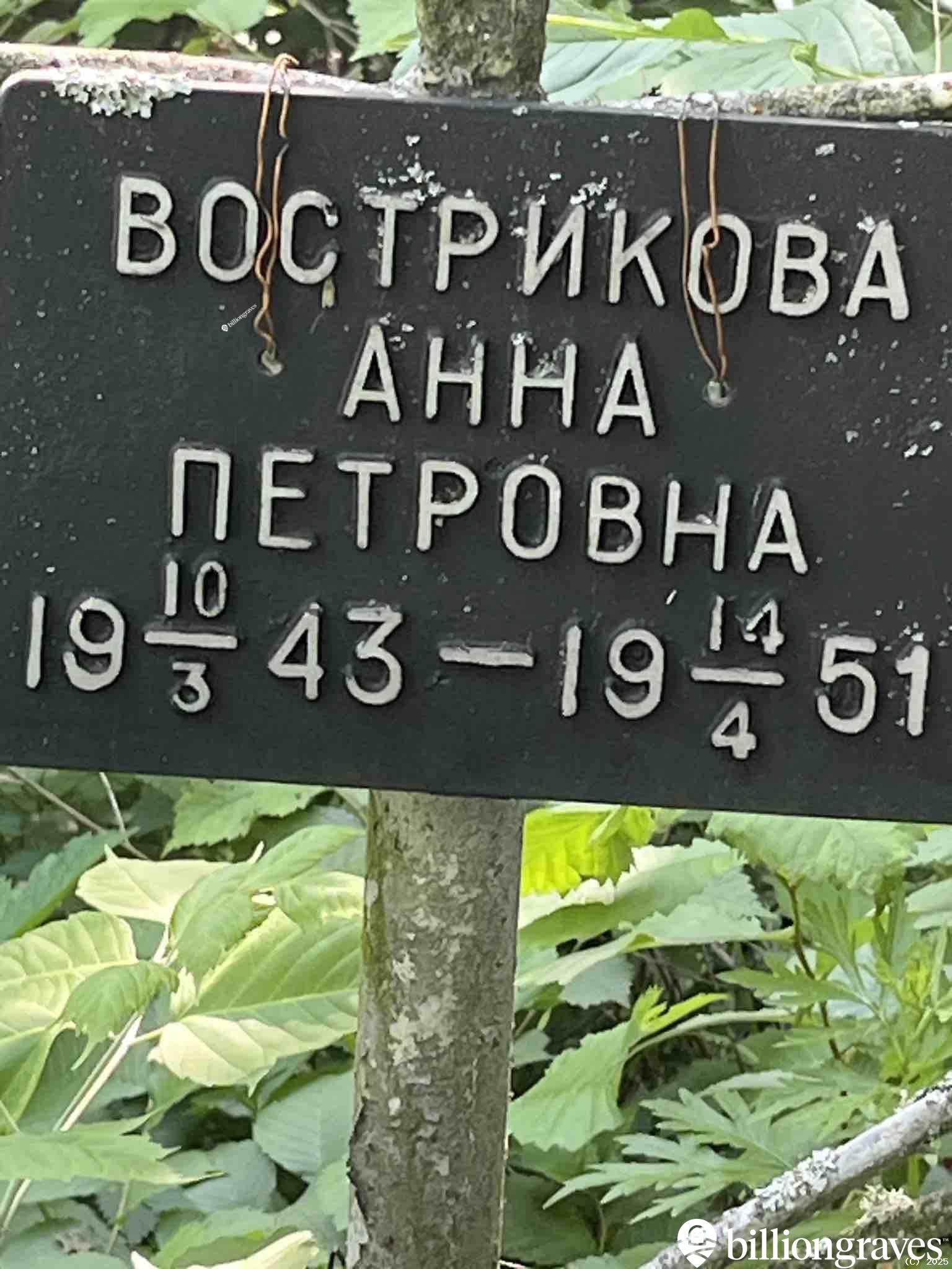 Вострикова Анна Петровна