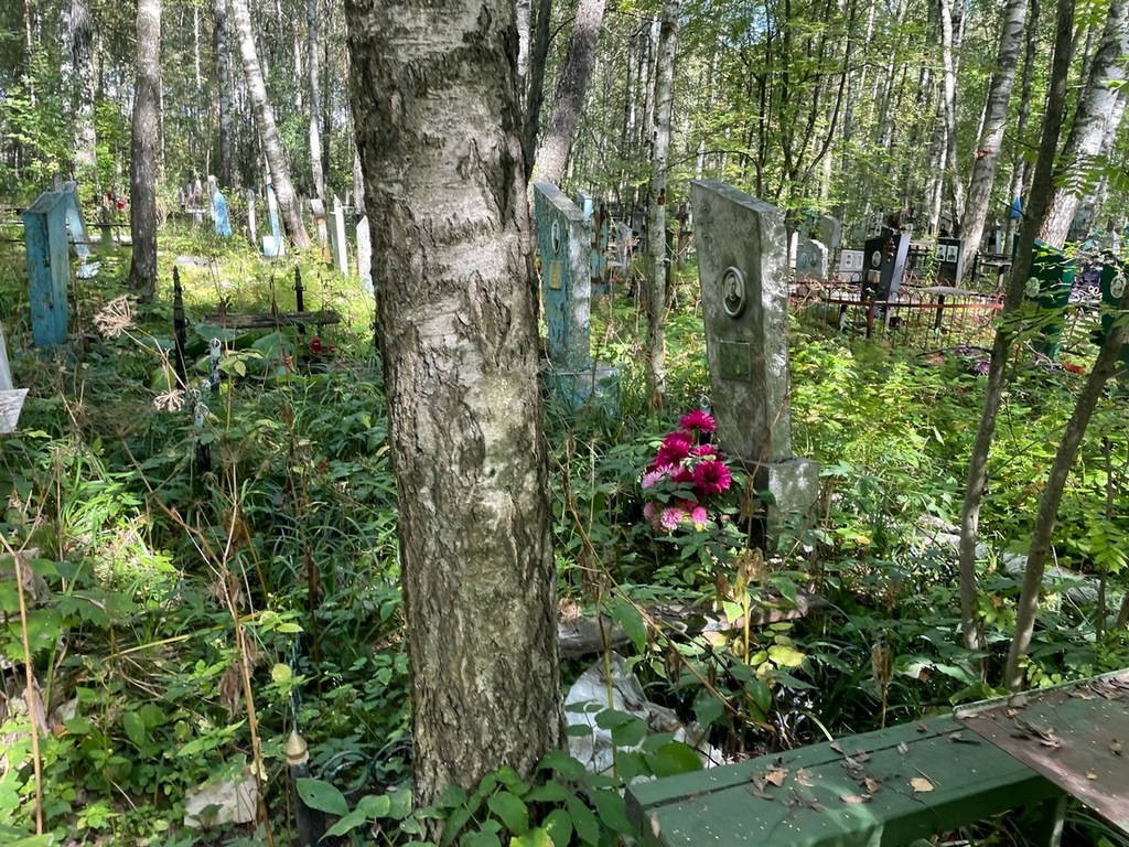 Полтавский Владимир Михайлович