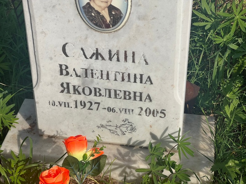 Сажина