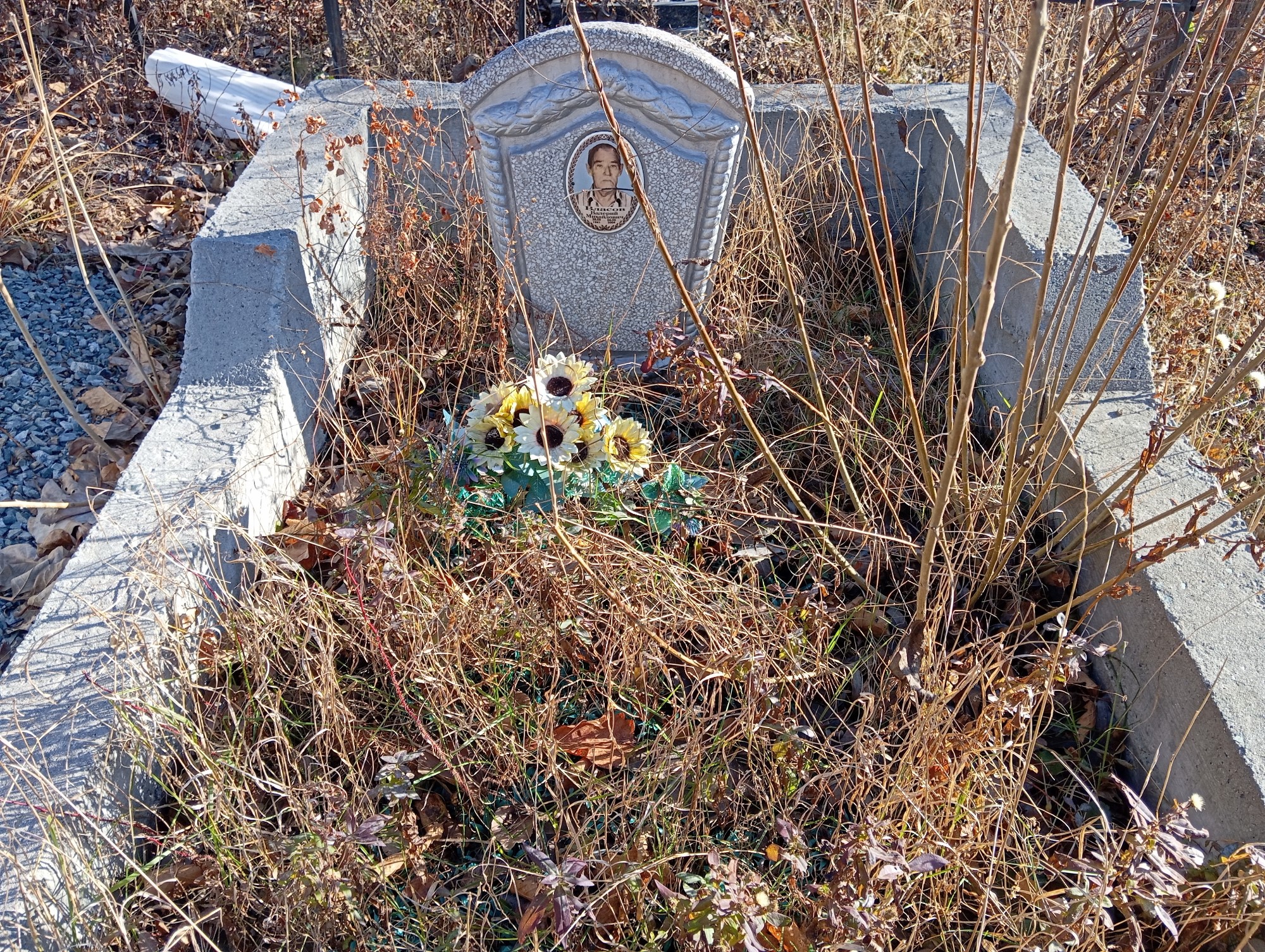 Власов Валерий Михайлович