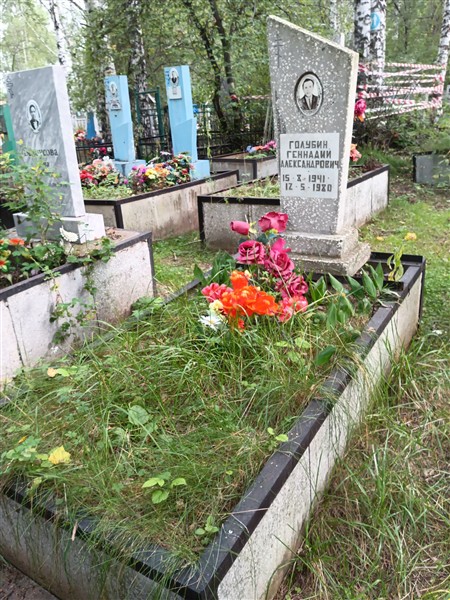 Голубин Геннадий Александрович