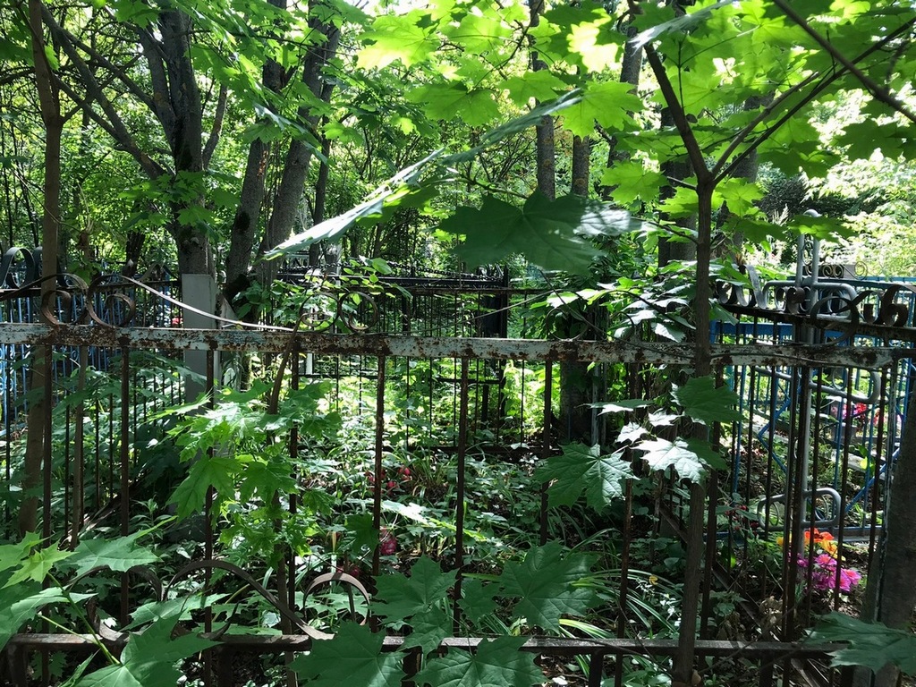 Плотникова Зоя Федоровна