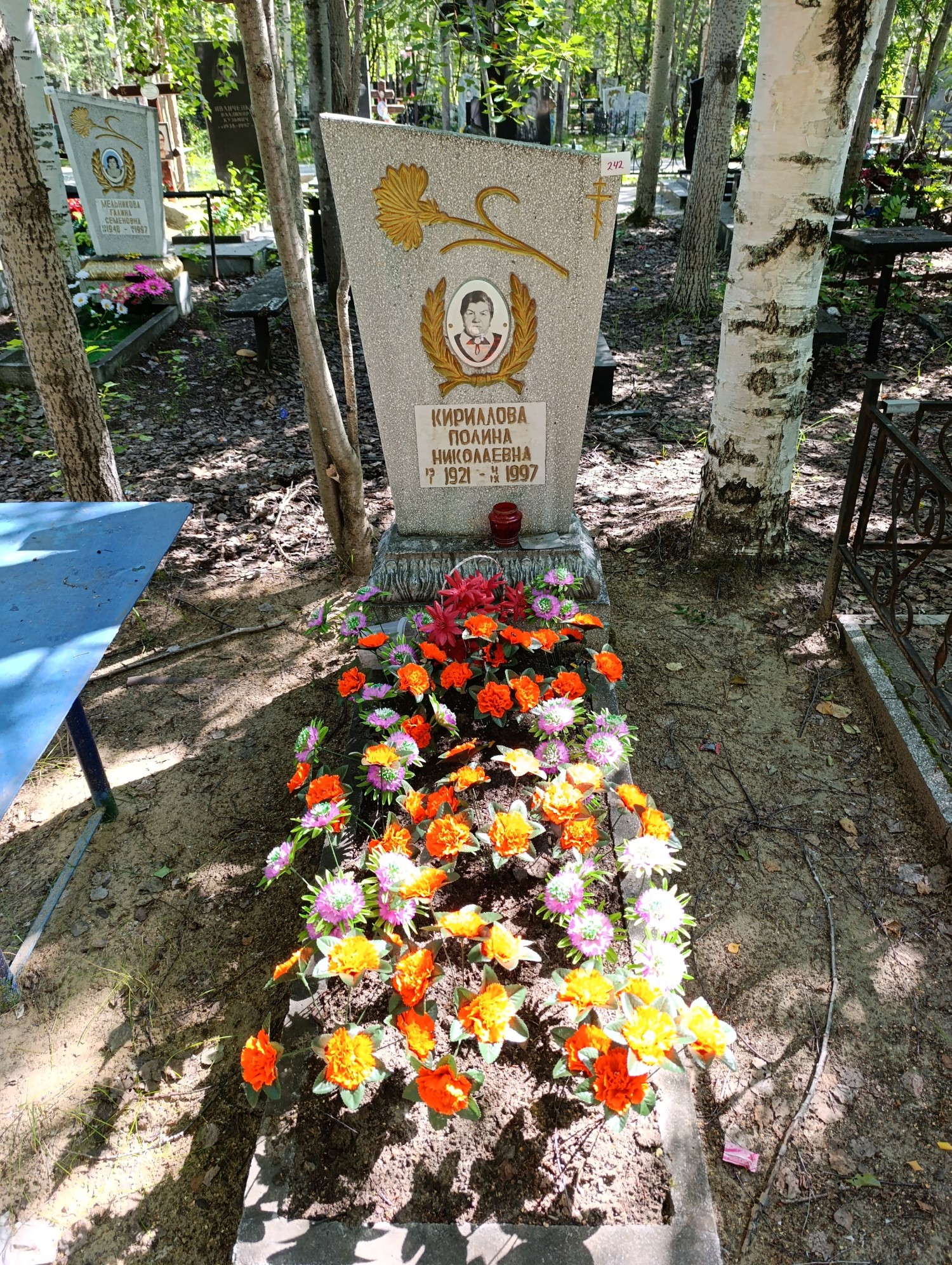 Кириллова Полина Николаевна