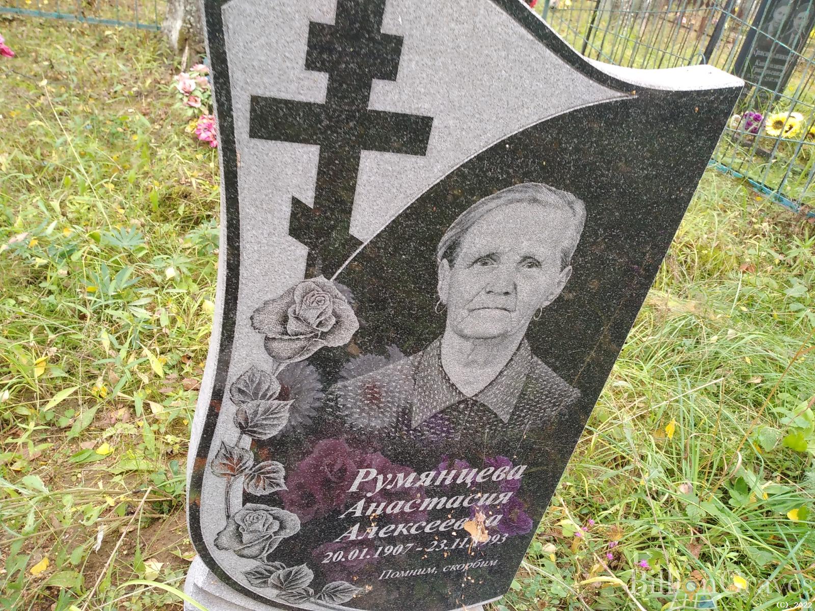 Румянцева Анастасия Алексеевна