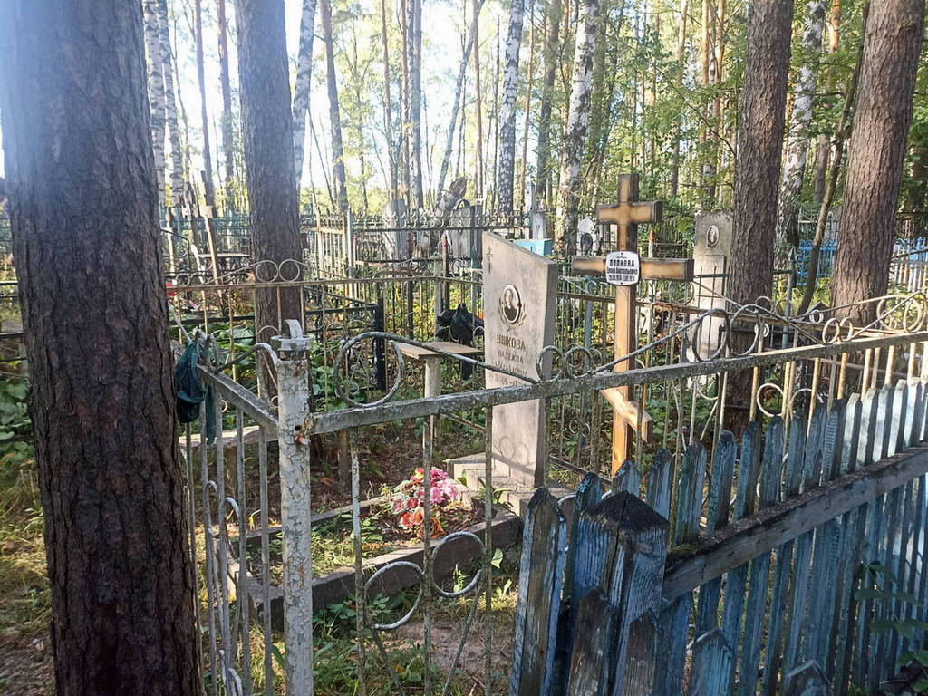 Попкова Елена Анатольевна
