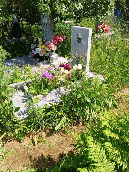 Недоспелов Владимир Борисович