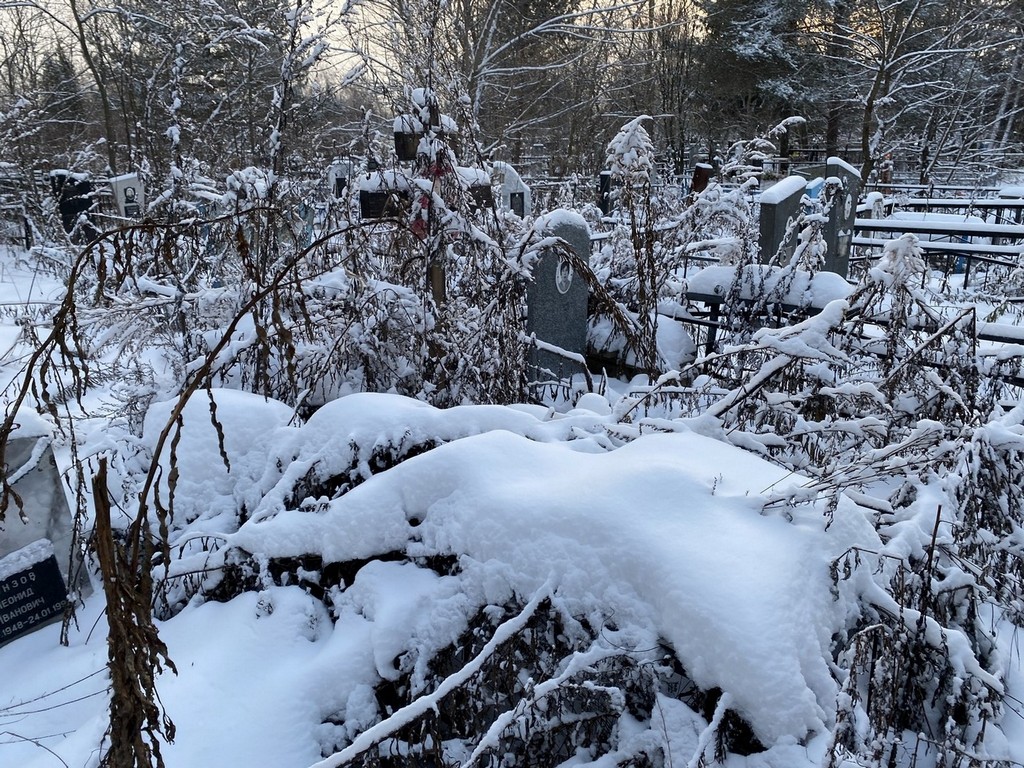 Баранова Лариса Юрьевна