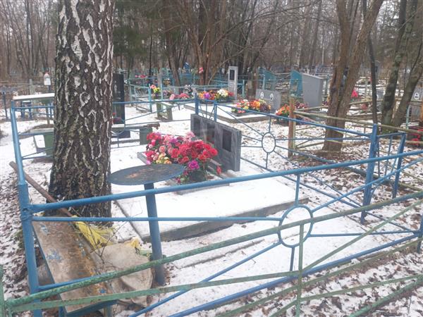 Краева Александра Александровна