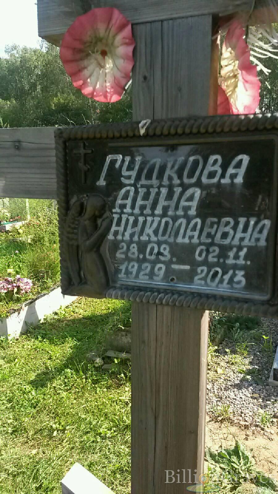 Гудкова Анна Николаевна