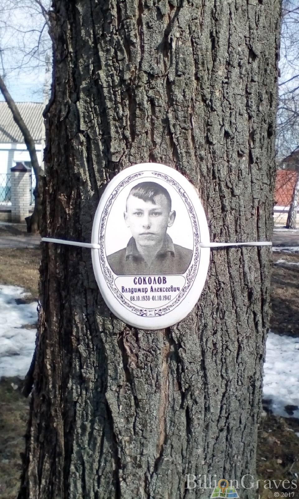 Соколов Владимир Алексеевич
