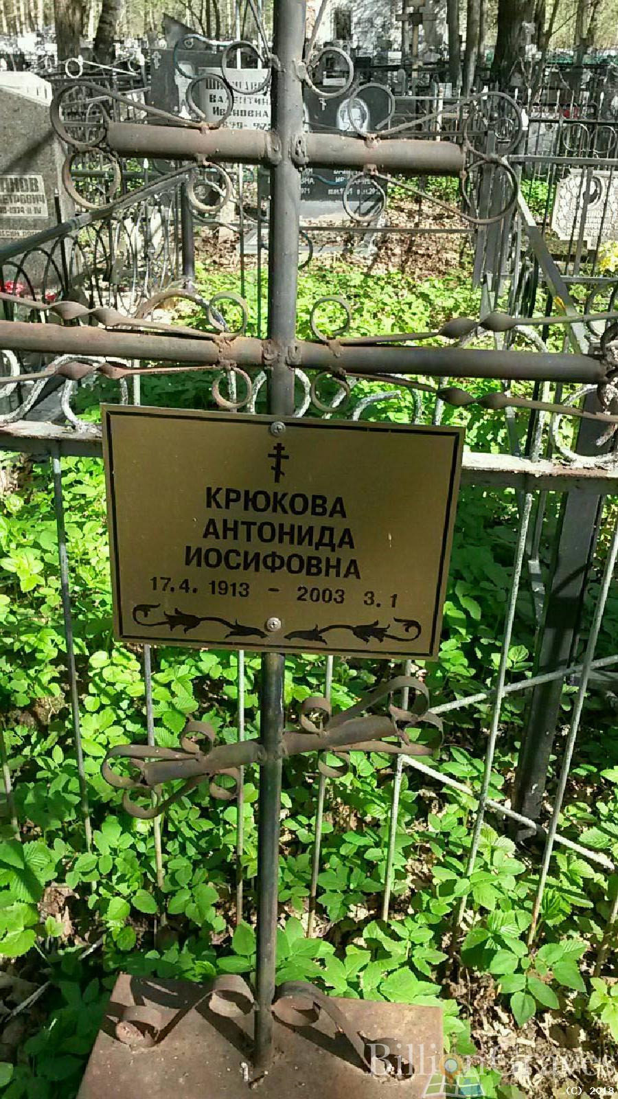 васильев роман васильевич