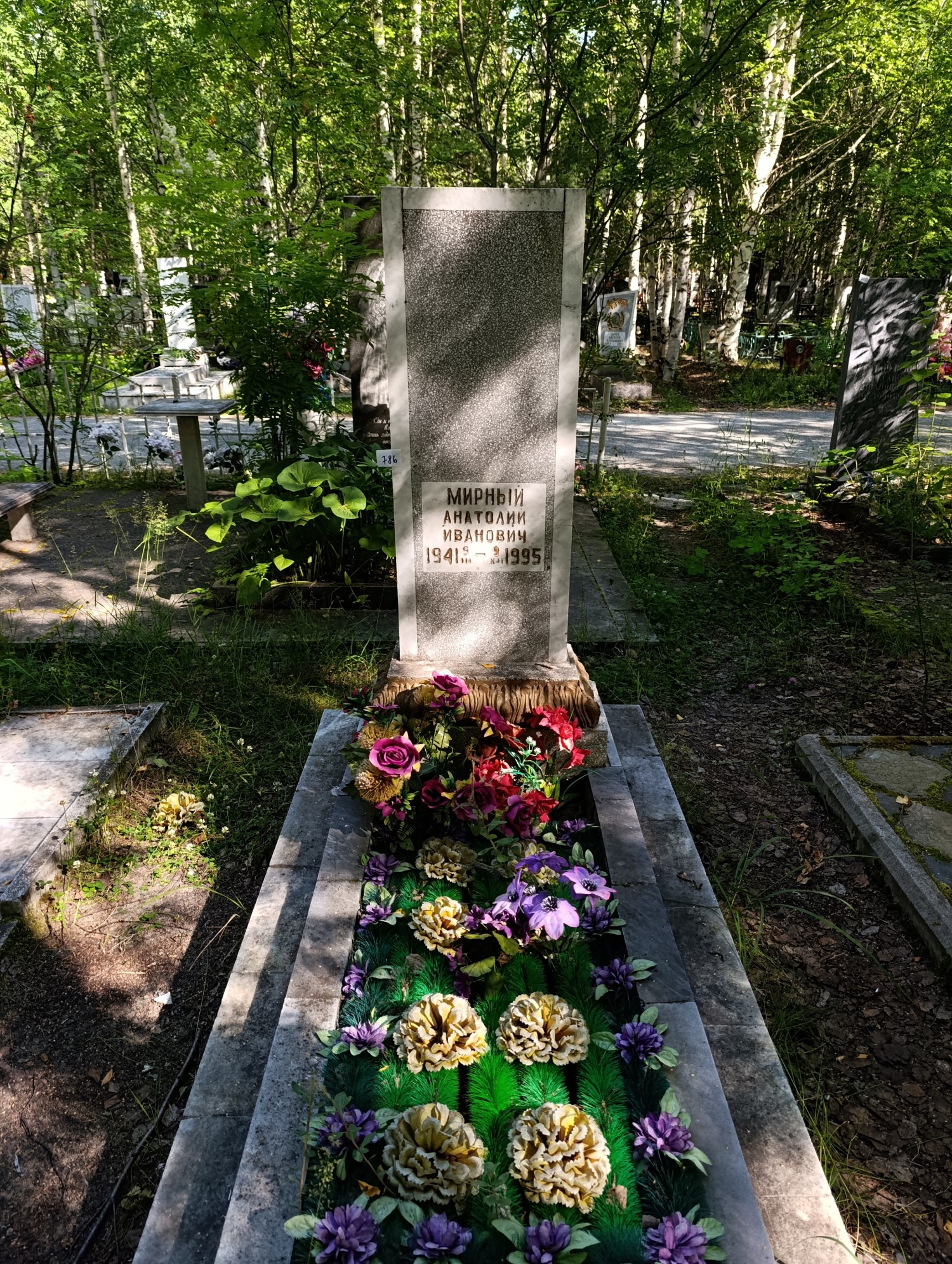 Мирный Анатолий Иванович