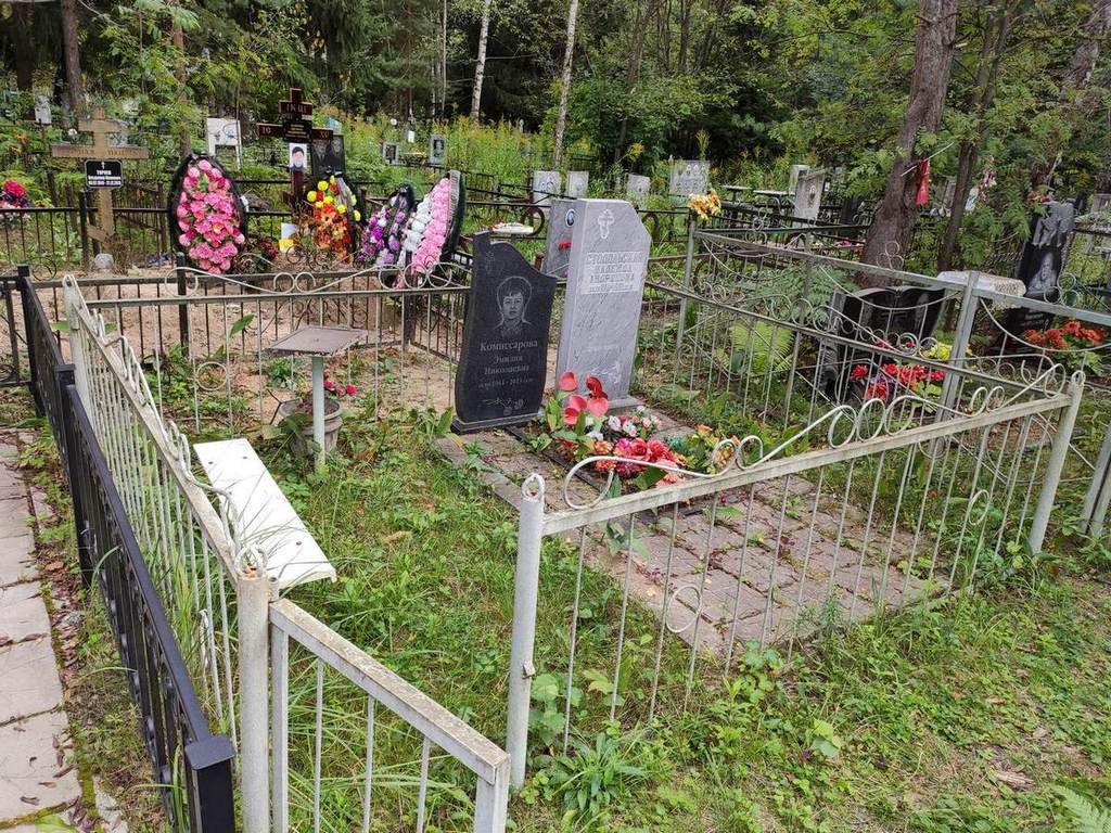Комиссарова Эмилия Николаевна